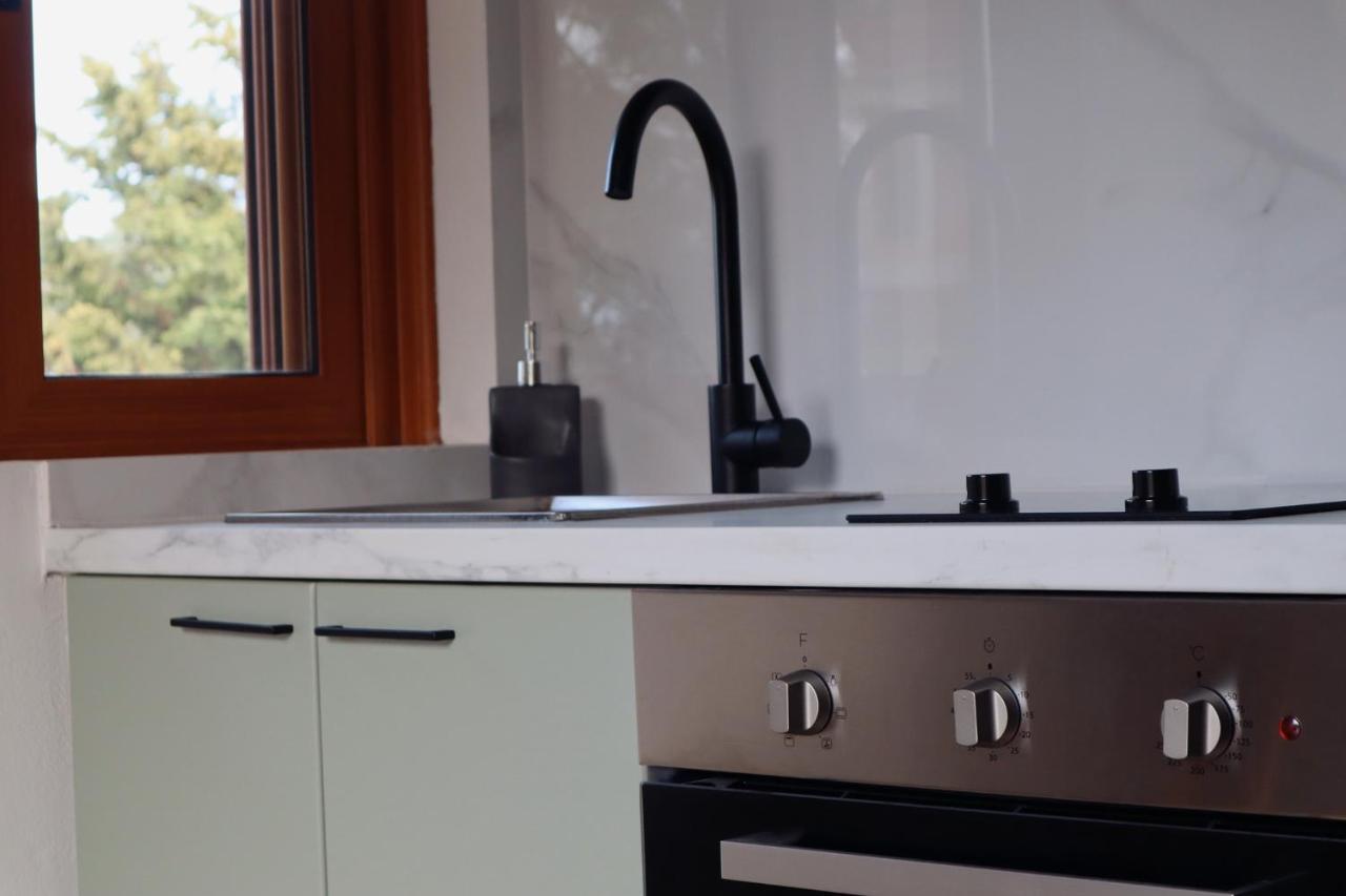 Villa Elea Apartments Spiliá 外观 照片