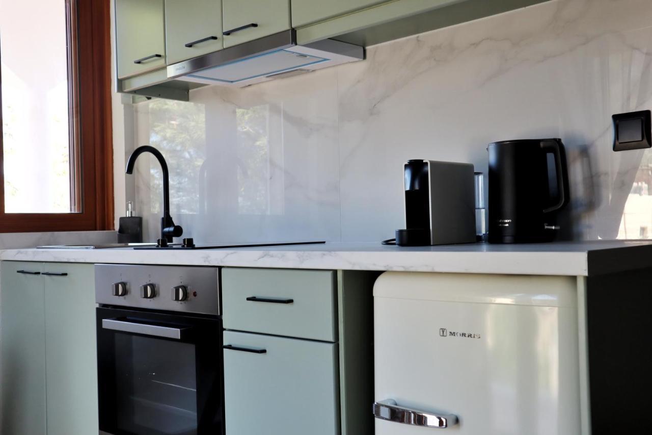 Villa Elea Apartments Spiliá 外观 照片