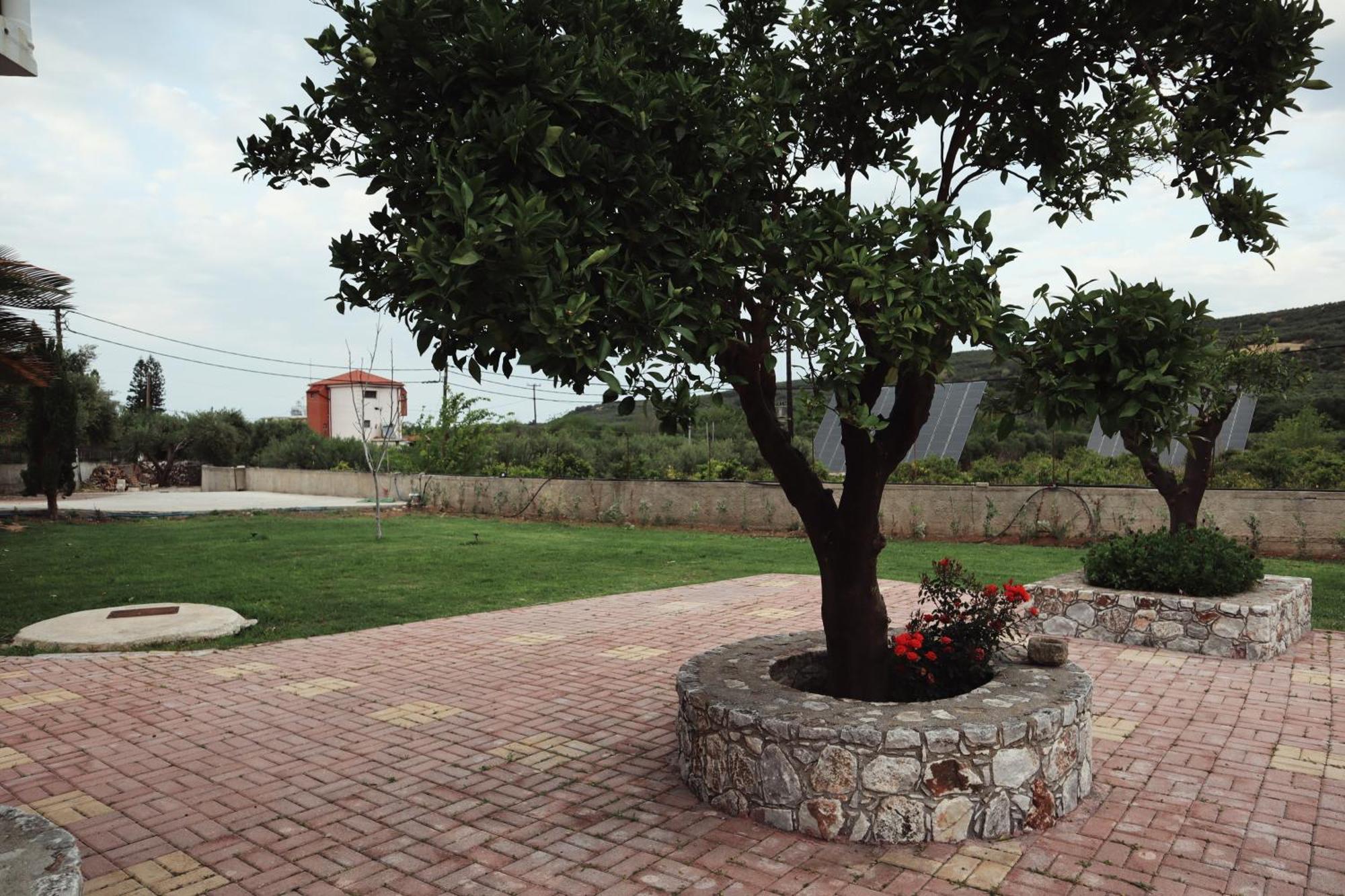 Villa Elea Apartments Spiliá 外观 照片