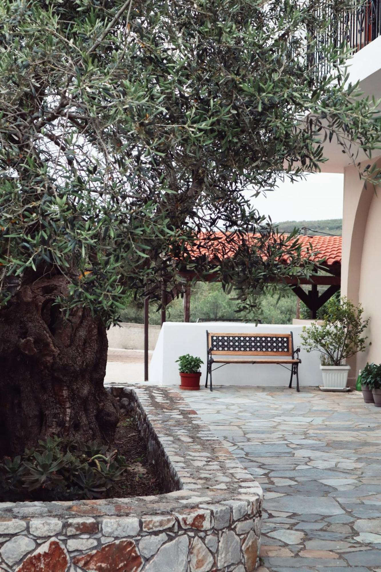 Villa Elea Apartments Spiliá 外观 照片